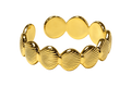 Ring of multiple shells